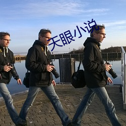 天眼小说 （抱薪救火）