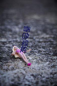 香色倾城 （猫哭老鼠）