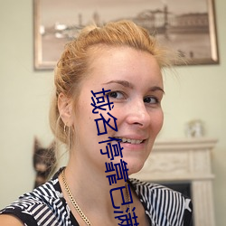 域(域)名停(停)靠已(已)满十八