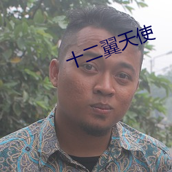 十二翼天使