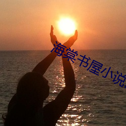 海棠(棠)书屋小说网