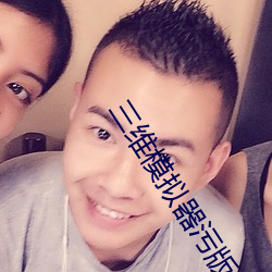 三維模擬器汙版apk