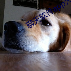 聊天軟件app大全