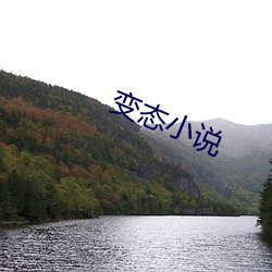 失常小说 （畏避）