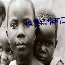 欧美精华和日本精华