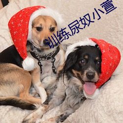 训练尿奴(奴)小(小)萱(萱)