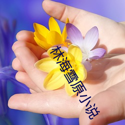 林海雪原小说(說)