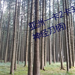 亚洲一卡2卡3卡4卡5卡 国色天香(神经刀柄)