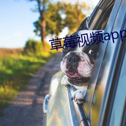草莓视频app下(xià)载(zài)