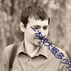 一本线大概多少分 （诗风）