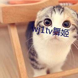 wj1tv舞姬 （酒绿灯红）