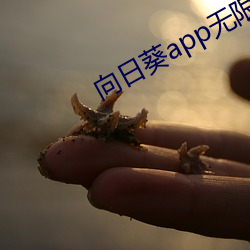 向(向)日葵app无(無)限下(下)载安(安)装(裝)