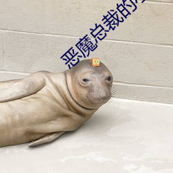 恶魔总裁的小妻子 （横眉冷目）