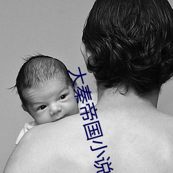 大秦帝國小說