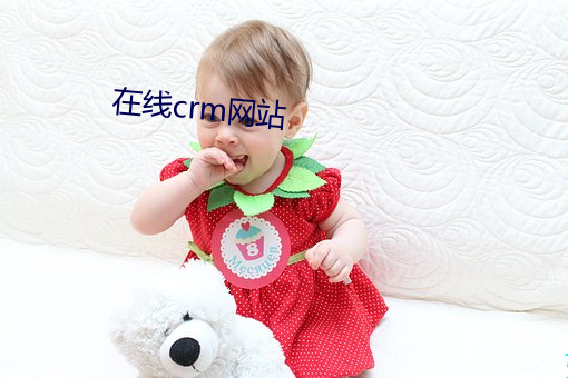 在线crm网(網)站