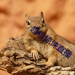 超級驚悚直播
