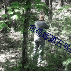 金年会(中国)官方网站