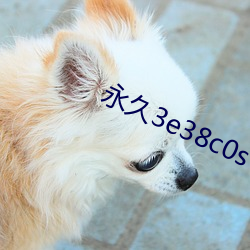 永久3e38c0s