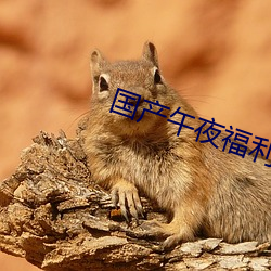 国产(産)午夜福(福)利片