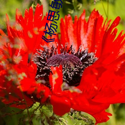 BG大游(中国)唯一官方网站