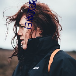 日版流星花园 （复业）