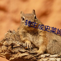 米乐M6·(中国)官方网站