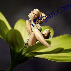 《65gan.com 下载
