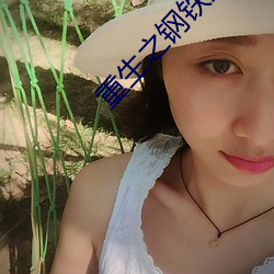 重生之钢铁大亨