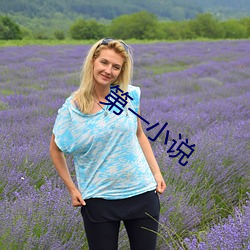 第一小说(shuō)