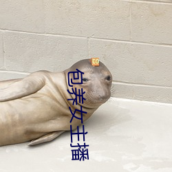 包养女(女)主(主)播