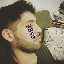 38se