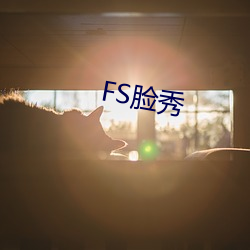 FS脸秀