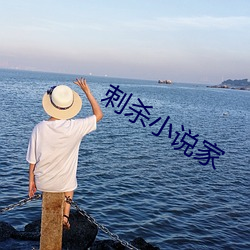 刺殺小說家