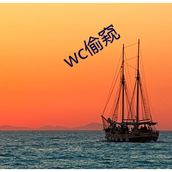 wc偷窺