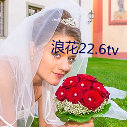 浪花22.6tv