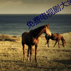免费电视剧大全
