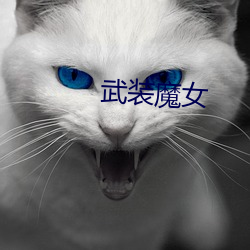 武裝魔女