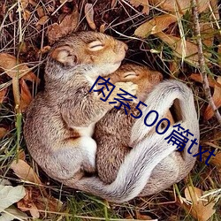 肉系500篇txt （会者不忙）