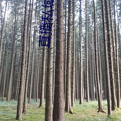 918博天堂·(中国)手机版客户端