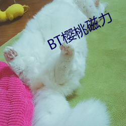 BT樱桃磁力