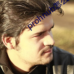 prohnub怎么进入