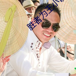 胜(勝)者为(爲)王小(小)说(說)