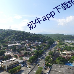 奶牛(牛)app下(下)载免费安卓(卓)
