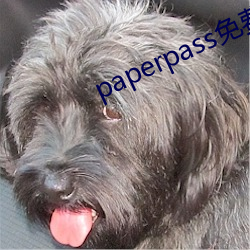 paperpass免费入口