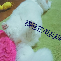 精品(品)芒果(果)乱(亂)码一二(二)三入口