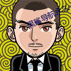 黑鲨导航永久
