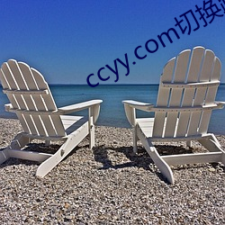 ccyy.com切换路线(線)