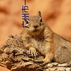 广州市一(yī)宫电影院