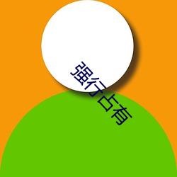 強行占有