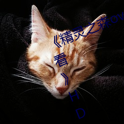 《精灵之森ova拯救精灵森林免费观看》HD免费在线播放